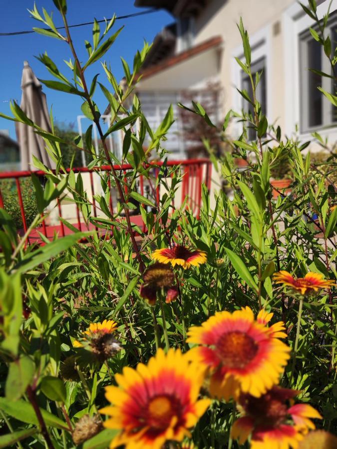 Campagn'Arts Bed and Breakfast Villechétif Exteriör bild